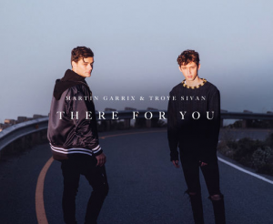 martin garrix feat troye sivan there for you